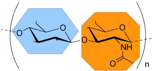 GAG chemical scheme