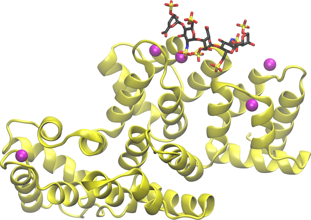 Ion interactions